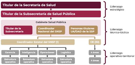 Infografía sobre la estructura jerárquica del sistema de protección y los niveles de vulneración en residencias.