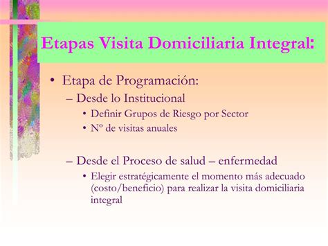 Infografía detallando las tres etapas de una visita domiciliaria integral: planificación, ejecución y monitoreo