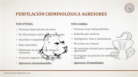 Gráfico comparativo de tipos de vulneraciones y agresores en los centros del Sename según informe PDI