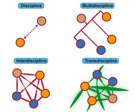 Infografía comparativa de multidisciplina, interdisciplina y transdisciplina
