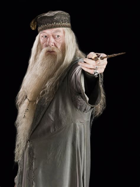 Albus Dumbledore con su larga barba plateada y nariz torcida