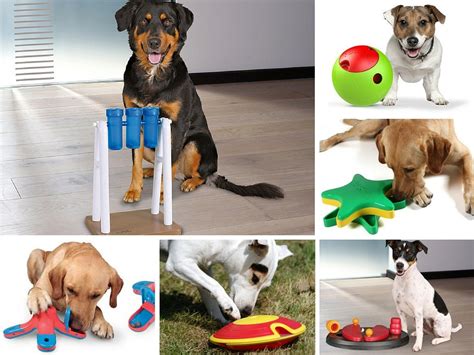 Infografía: lista de juguetes interactivos y juegos caseros para perros