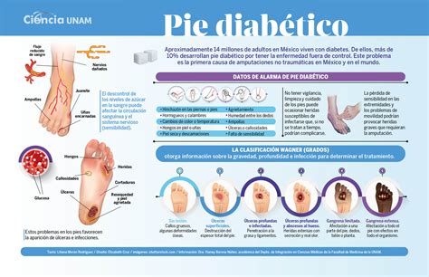 Diagrama de las causas y consecuencias del pie diabético