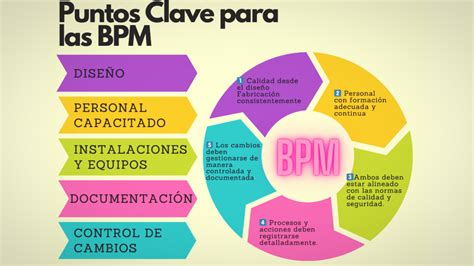 Infografía que resume los puntos clave de las guías de buenas prácticas elaboradas por Fundación Descúbreme