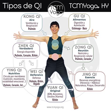 Infografía que ilustra el flujo de Qi y Prana en el cuerpo humano con sus respectivos meridianos y nadis