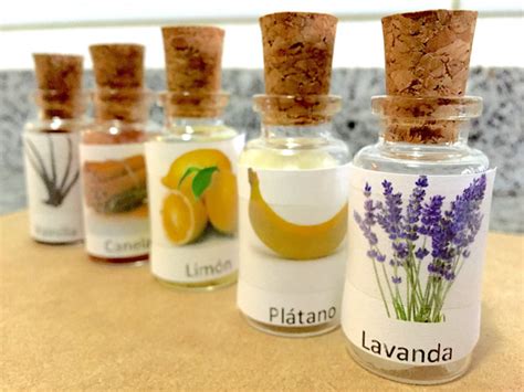 Imagen de frascos de olores Montessori con tapas de diferentes colores dispuestos para un juego de asociación