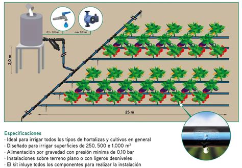 Gráfico de distribución de cultivos y tipos de riego en la zona de estudio