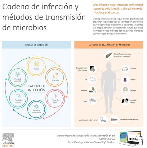 Esquema de las principales vías de transmisión de gérmenes en un entorno escolar