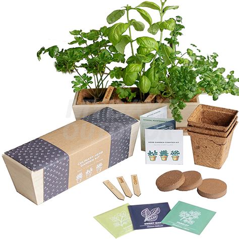 Kit de jardinería interior