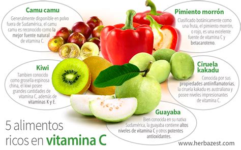 infografía sobre alimentos ricos en proteínas y vitamina C para el invierno