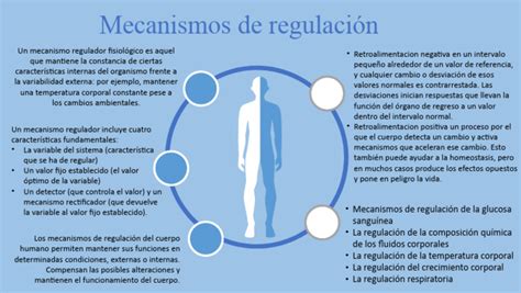Esquema de los mecanismos de regulación energética en adultos mayores (factores hormonales, sensoriales y sociales)
