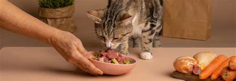 Tabla de alimentos tóxicos y prohibidos para gatos