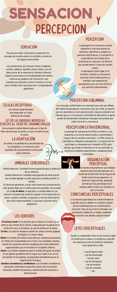 Infografía: La importancia de los sentidos en la percepción del entorno para personas con discapacidad visual, destacando el tacto, oído y olfato.