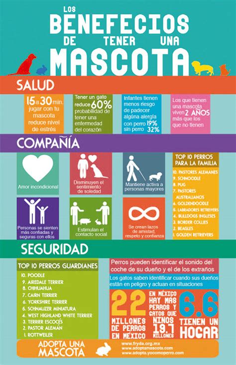 infografía sobre los beneficios de tener una mascota en la tercera edad