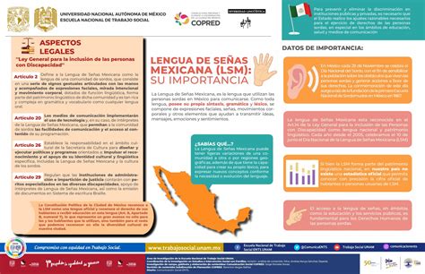 Gráfico o infografía sobre el proceso de formación de intérpretes de lengua de señas