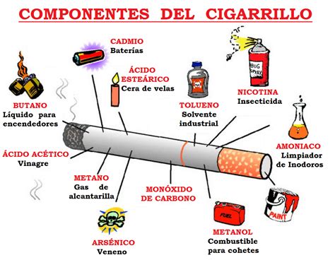 Infografía sobre los efectos nocivos del humo del cigarrillo y la contaminación por colillas.