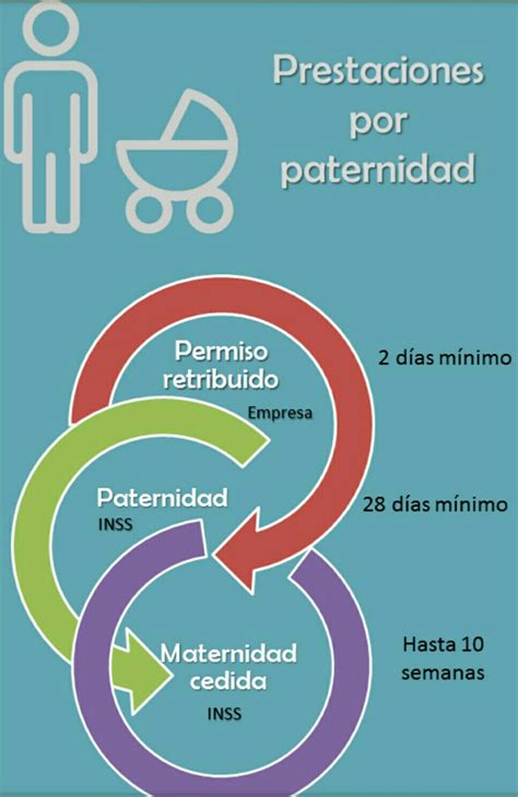 Esquema: Cálculo y distribución de la prestación por paternidad