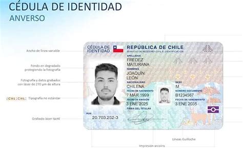 Ilustración de una cédula de identidad con áreas resaltadas para mostrar posibles falsificaciones (foto/huella)