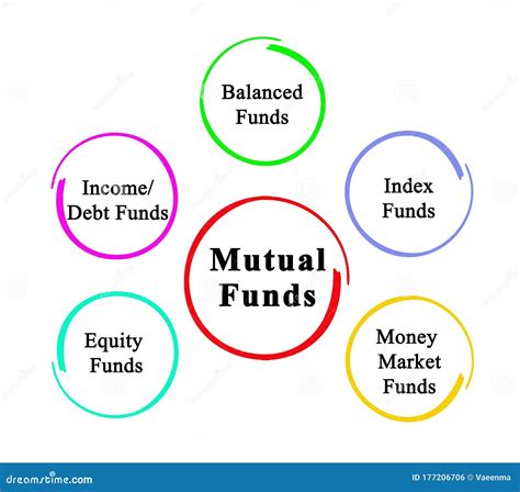 Diagrama comparativo de los diferentes tipos de fondos mutuos según su política de inversión