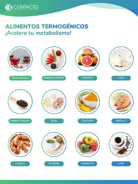 Infografía de alimentos termogénicos comunes y sus propiedades