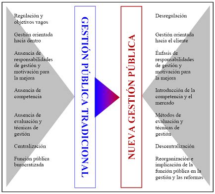 Esquema conceptual de la Nueva Gestión Pública y sus principios