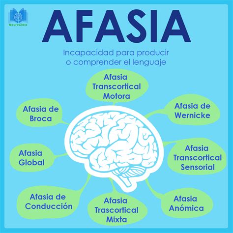 infografía sobre los tipos de afasia y sus características con ejemplos