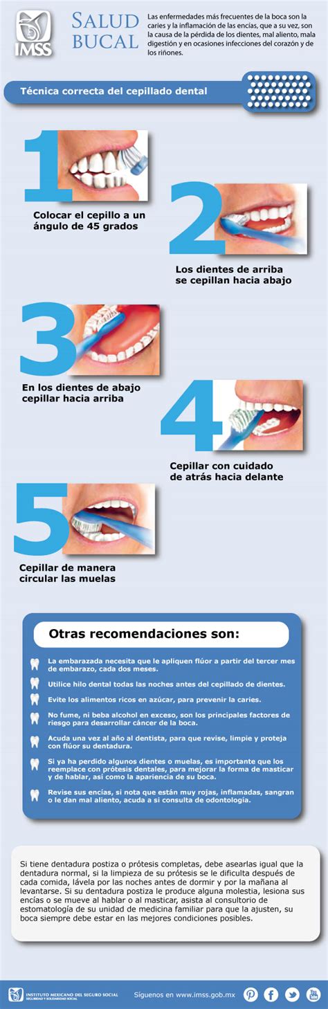 Infografía sobre la técnica de cepillado y uso de hilo dental