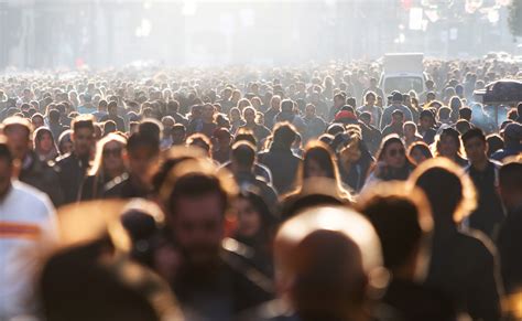 Infografía comparando las previsiones de 