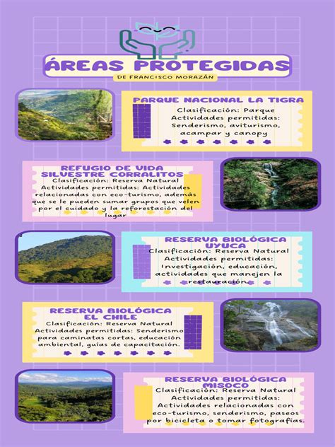 Infografía sobre las áreas de impacto en el cuidador: física, mental, social y económica.