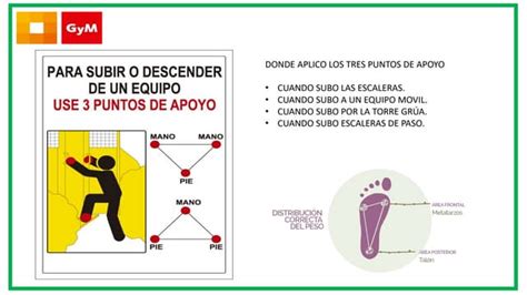 Esquema técnico que muestra los 4 puntos de apoyo y el sistema de ajuste de altura del bastón.