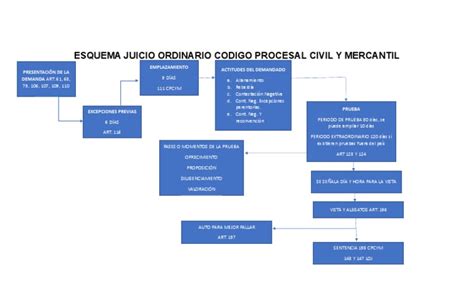 Esquema del flujo procesal: desde la liquidación de la deuda hasta la ejecución forzada y medidas de apremio.
