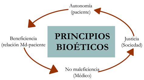 Esquema de los principios de la bioética: autonomía, beneficencia, no maleficencia, justicia