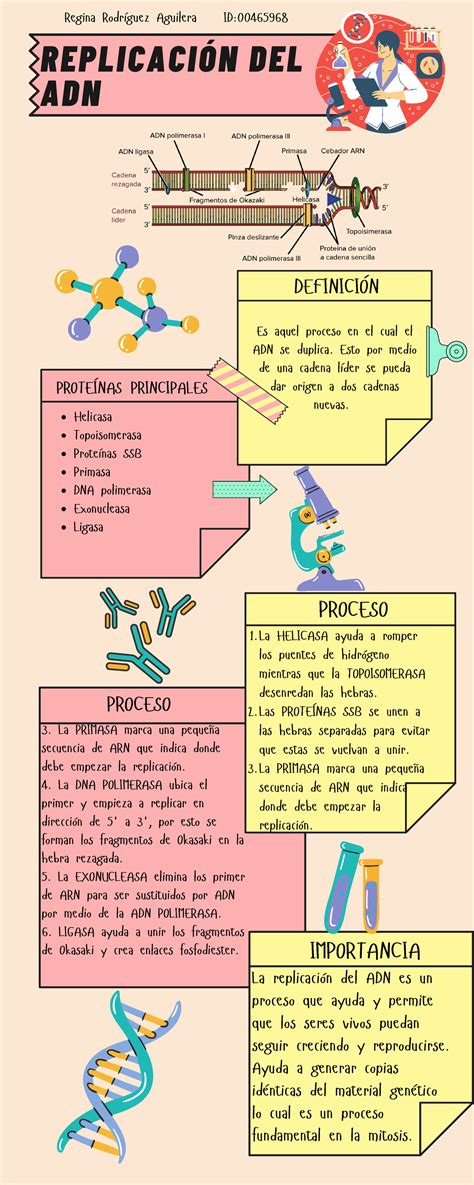 Infografía sobre la importancia de la replicación y el respaldo de bases de datos para la continuidad del negocio.