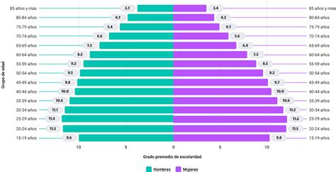 Gráfico de niveles de escolaridad en adultos mayores