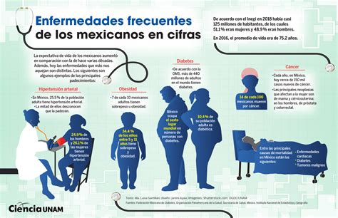 Infografía sobre la prevalencia de enfermedades crónicas en adultos mayores en Chile (hipertensión, diabetes, dolor crónico, depresión) y diferencias por género.