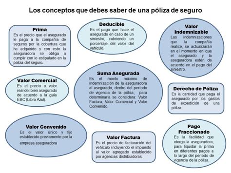 Diagrama explicativo de los componentes de una póliza de seguro