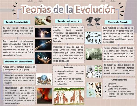 Esquema sobre la evolución de las teorías en el estudio del maltrato al adulto mayor