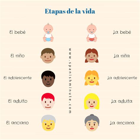 Comparación de rostros en diferentes etapas de la edad