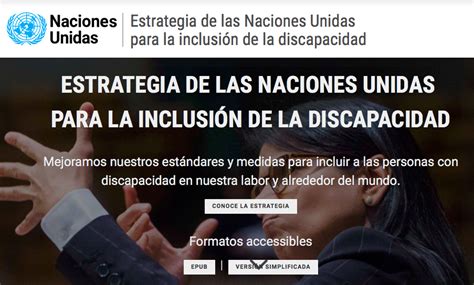 Esquema de la Estrategia de las Naciones Unidas para la inclusión de la discapacidad