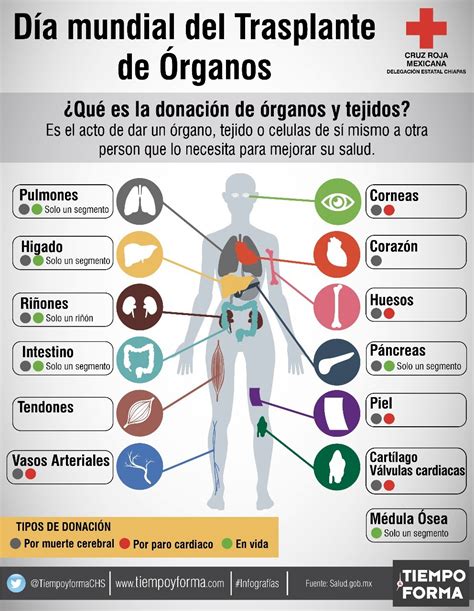 Infografía: Trasplante de microbioma en ratones