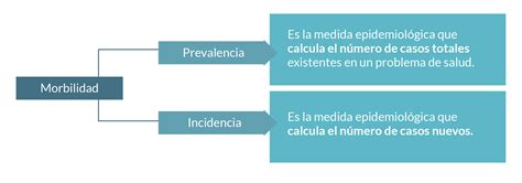 Infografía o esquema visual que muestre la prevalencia de multimorbilidad y ECNT en adultos mayores por edad/género
