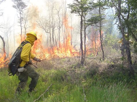 Brigadistas de CONAF combatiendo un incendio forestal en zona de interfaz