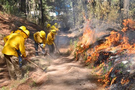 Infografía sobre la creación de cortafuegos y limpieza de terrenos
