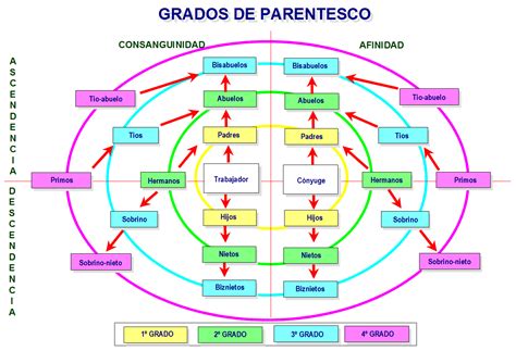 Esquema de las relaciones de parentesco y control para la determinación de partes relacionadas en operaciones tributarias