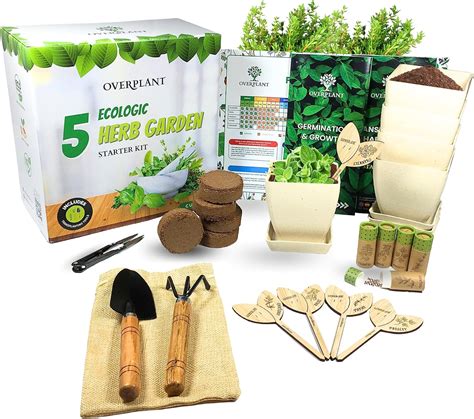 Kit de jardinería con herramientas manuales, semillas y macetas