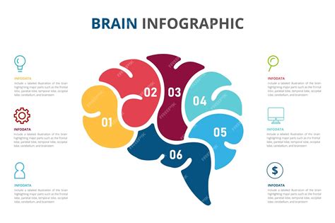 Infografía mostrando áreas del cerebro activas durante la práctica de origami