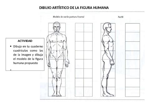 Dibujo de una figura humana en diferentes grados de escorzo, con cuadrículas de referencia