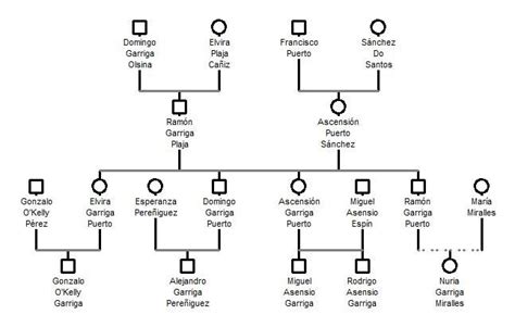 Diagrama de un árbol genealógico con grupos sanguíneos o ilustración de un juzgado de familia