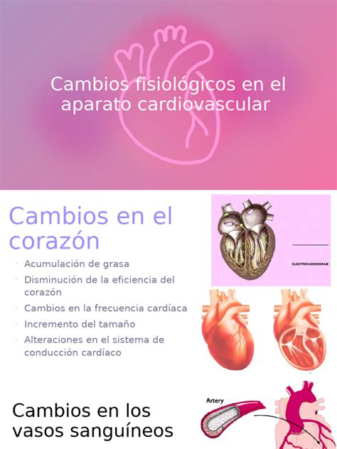 Diagrama de cambios cardiovasculares asociados al envejecimiento