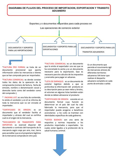 Infografía del flujo de proceso para la importación de un vehículo adaptado en Chile